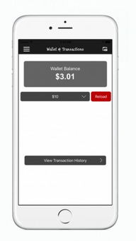 Rockaloo軟件 全新v1.1版本下載指南與手機軟件應用體驗